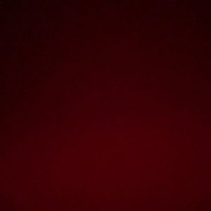 Meet your Posher, Shelby